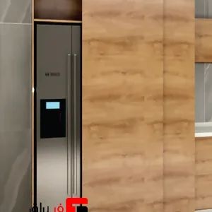 Electric linear rail door mechanism